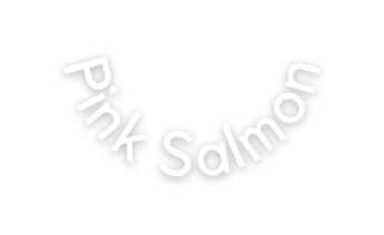 Pink Salmon